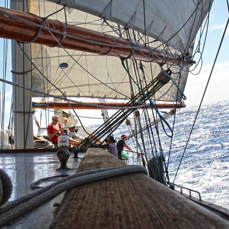 Blue Clipper Tall Ship | History & Information | Maybe Sailing